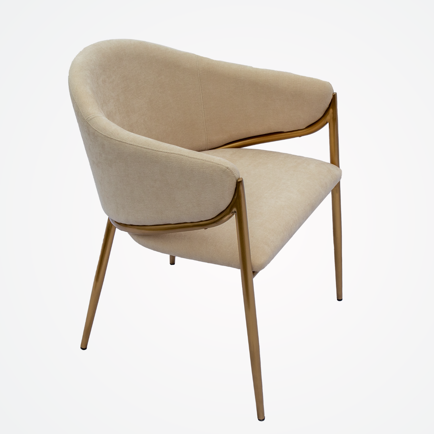 Diseño sin tÃtulo (65)